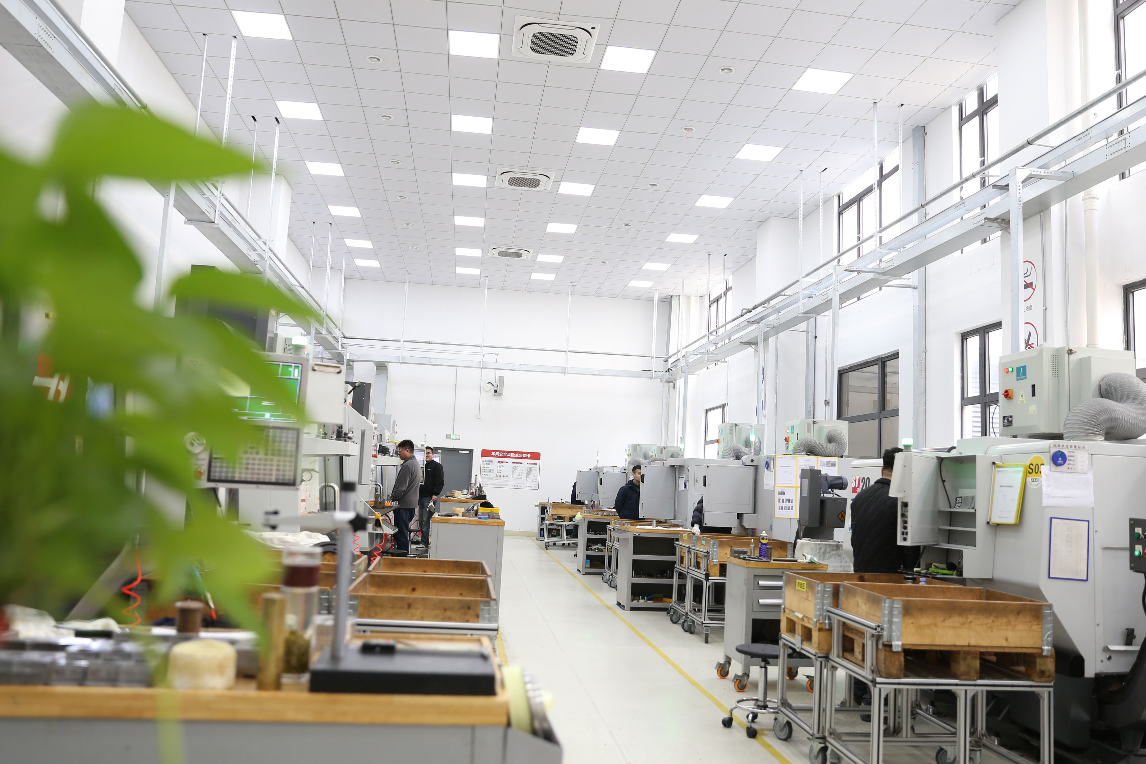 绿叶工厂图.jpg