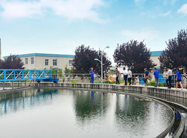 применение в муниципальной канализации